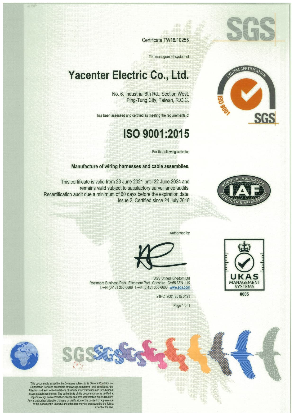 ISO 9001